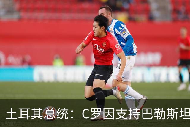 土耳其总统：C罗因支持巴勒斯坦而遭受政治打压